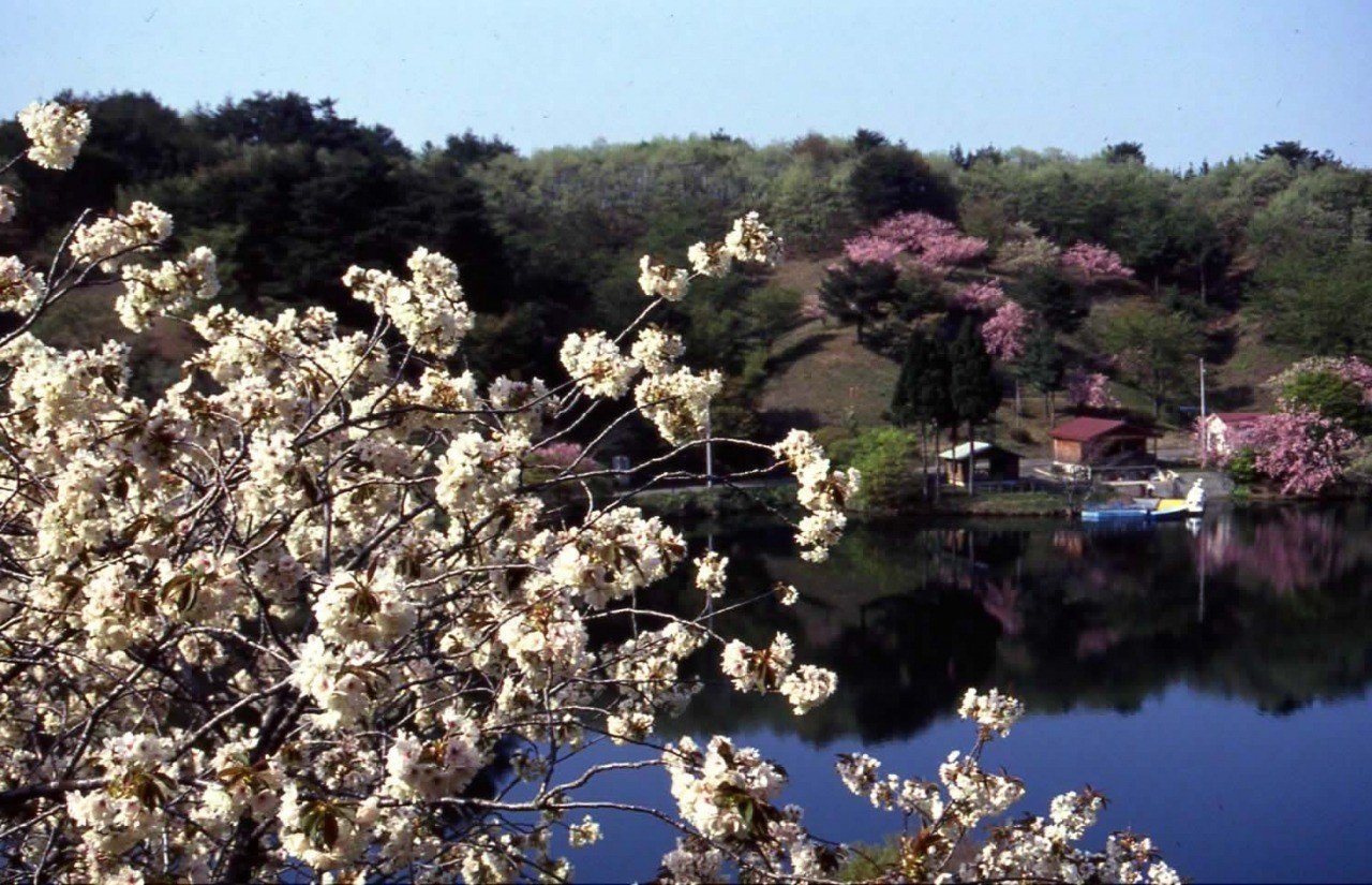 🏞️ 야시오 휴양림 (야시오 이코이노모리) 이미지 4